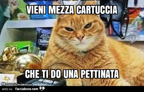 Vaccata