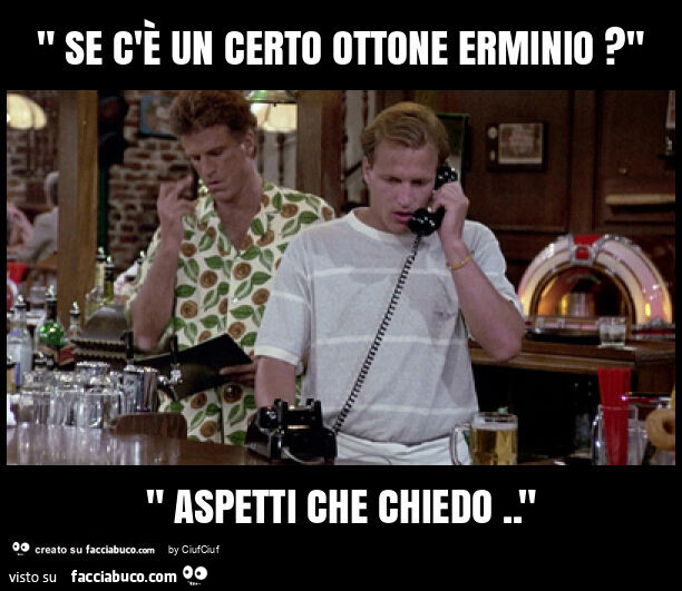 " se c'è un certo ottone erminio? " " Aspetti che chiedo. "