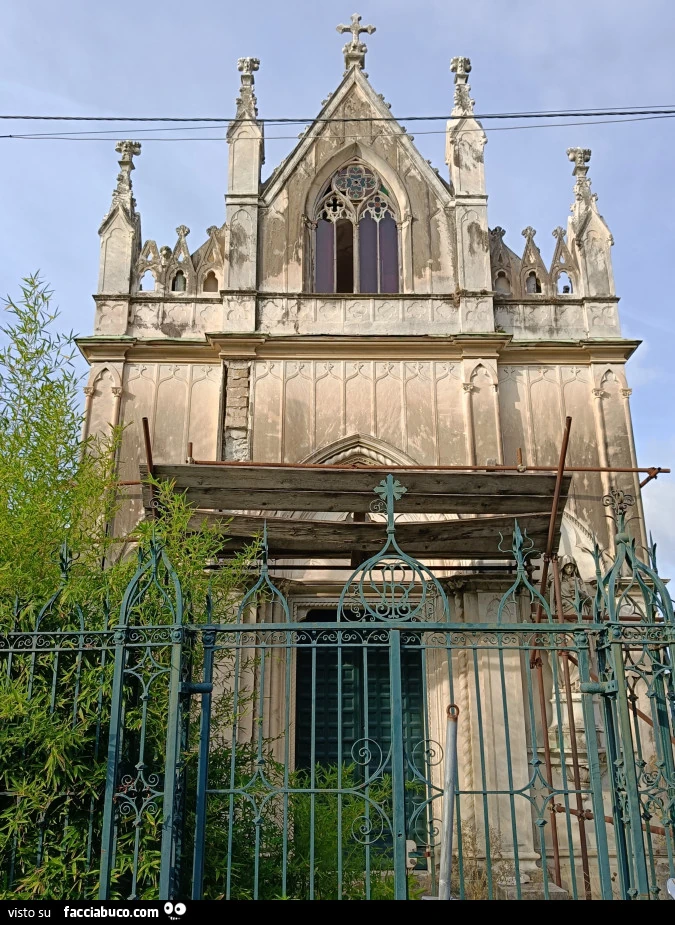 Vaccata