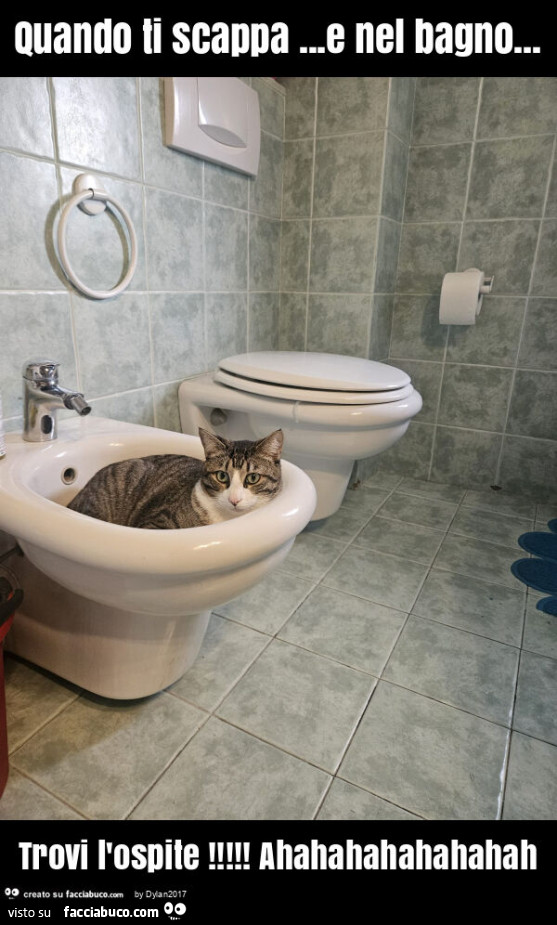 Quando ti scappa&hellip; e nel bagno&hellip; trovi l'ospite! Ahahahahahahahah