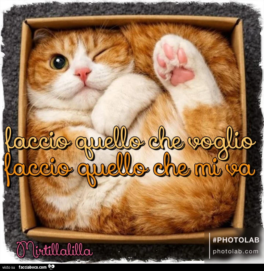 Quello che mi va