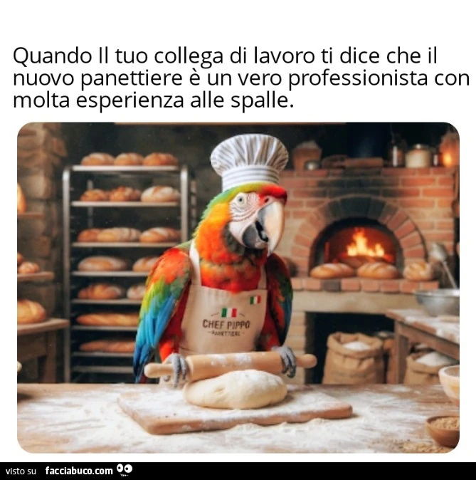 Vaccata