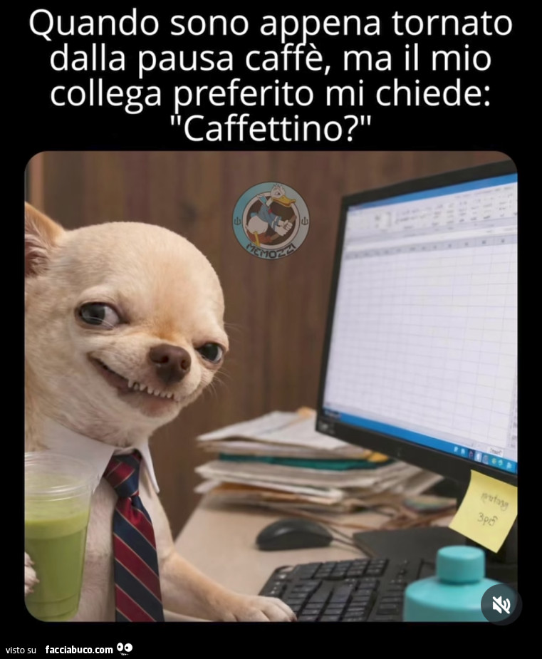 Vaccata