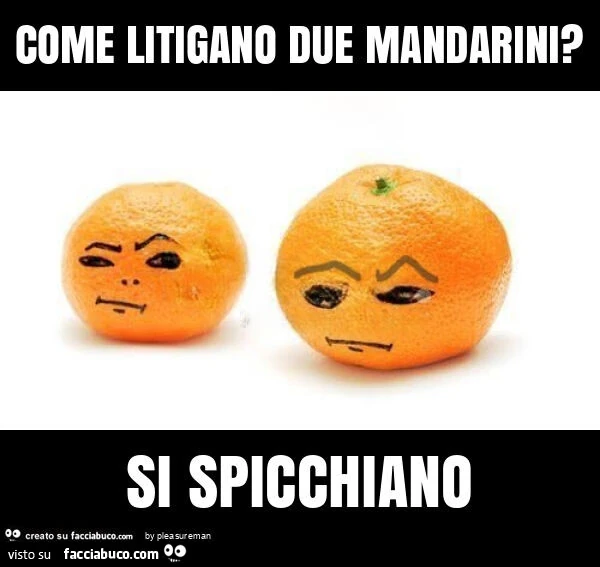 Come litigano due mandarini? Si spicchiano