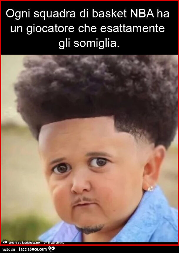 Ogni squadra di basket nba ha un giocatore che esattamente gli somiglia
