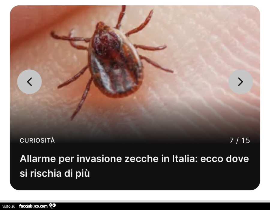 Vaccata