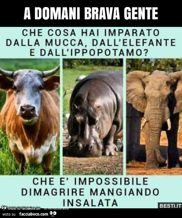 A domani brava gente