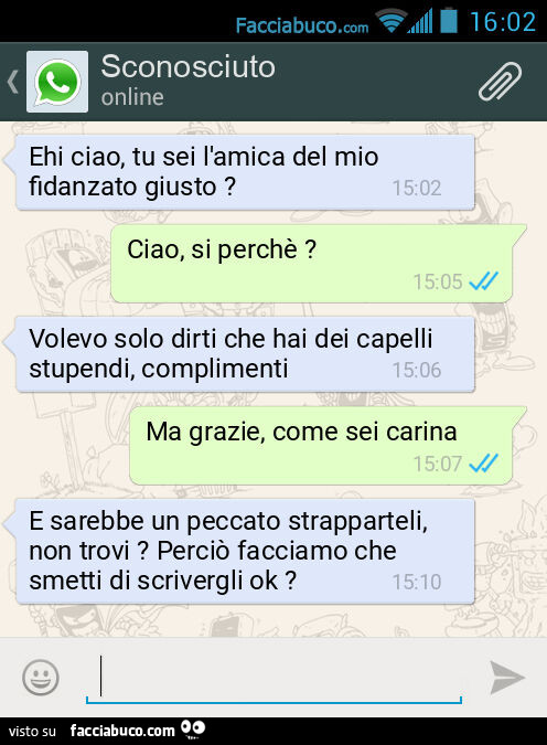 Ehi ciao, tu sei l'amica del mio fidanzato giusto? Ciao, si perchè? Volevo solo dirti che hai dei capelli stupendi, complimenti. Ma grazie, come sei carina. E sarebbe un peccato strapparteli, non trovi? Perciò facciamo che smetti di scrivergli ok?