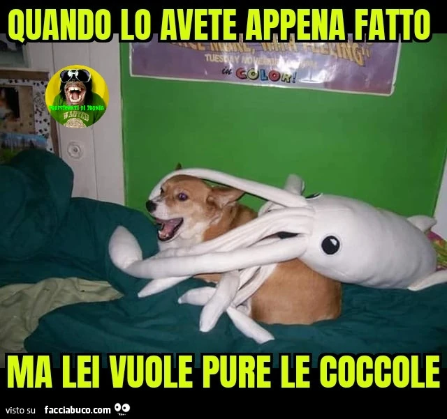 Quando lo avete appena fatto ma lei vuole pure le coccole