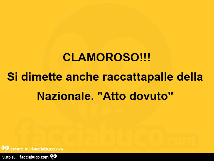 Clamoroso! Si dimette anche raccattapalle della nazionale. ย "Atto dovuto"ย