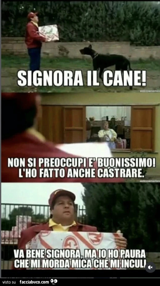 Vaccata