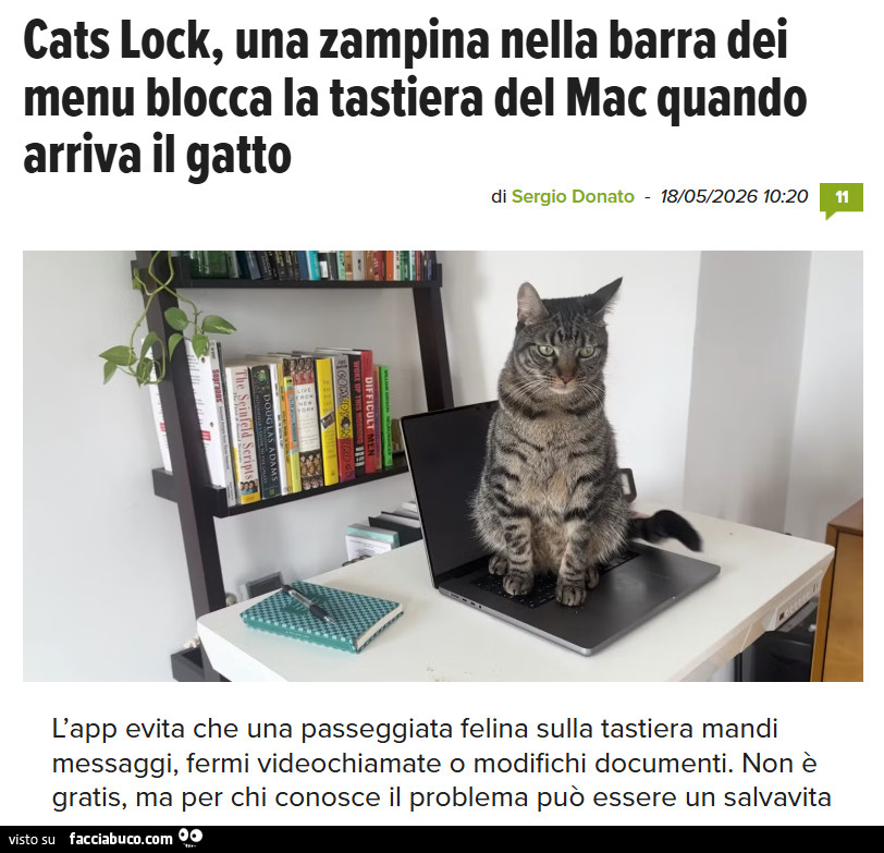 Vaccata