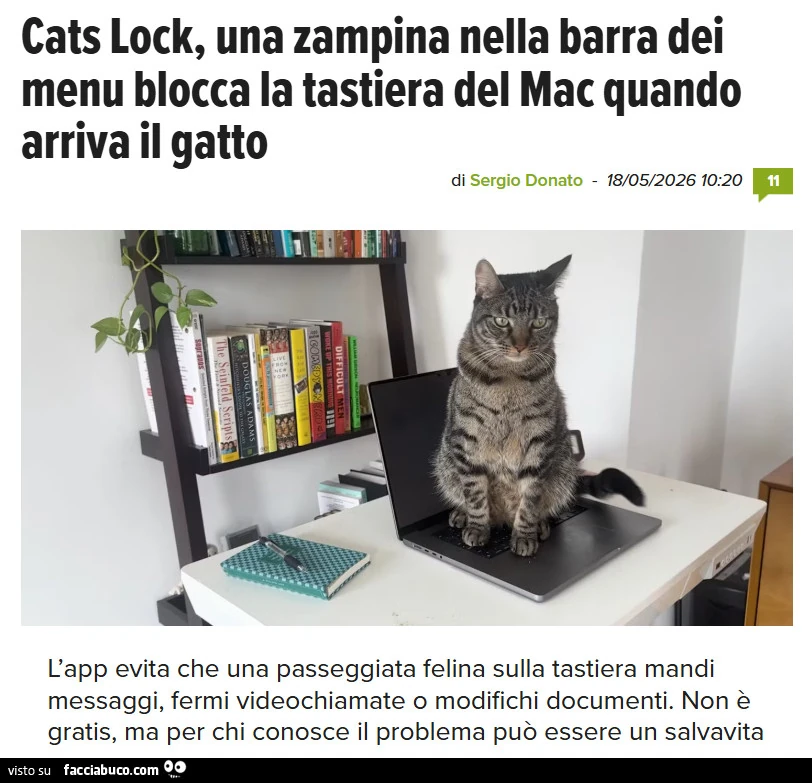 Vaccata