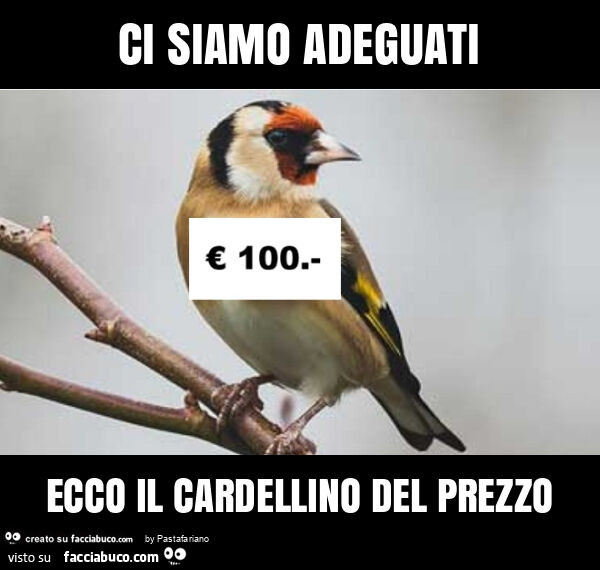 Ci siamo adeguati ecco il cardellino del prezzo