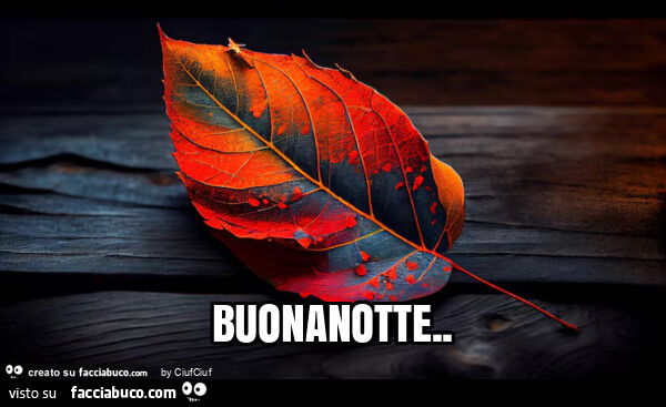 Buonanotte