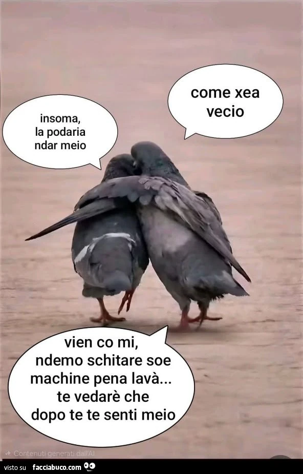 Vaccata