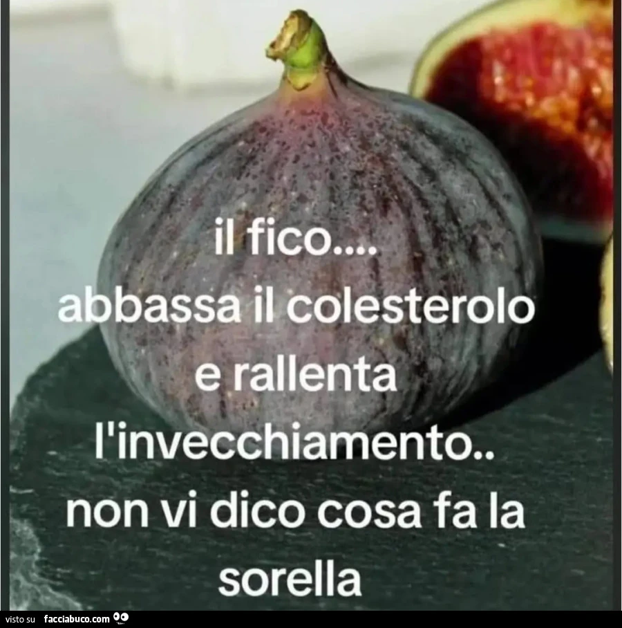 Fico