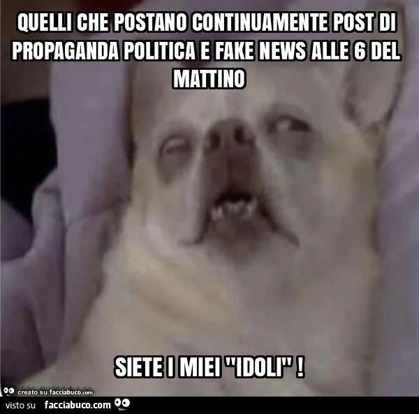 Quelli che postano continuamente post di propaganda politica e fake news alle 6 del mattino siete i miei "idoli"