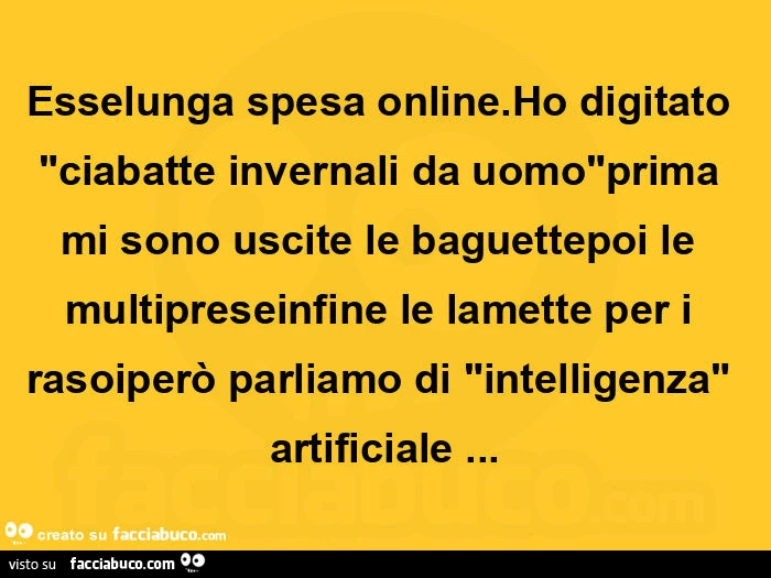 Esselunga spesa online. Ho digitato "ciabatte invernali da uomo"prima mi sono uscite le baguettepoi le multipreseinfine le lamette per i rasoiperò parliamo di "intelligenza" artificiale