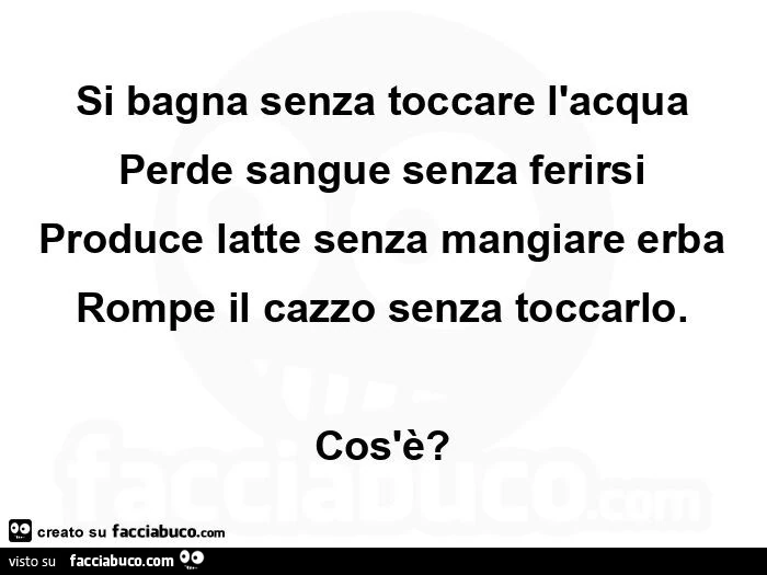 Si bagna senza toccare l'acqua perde sangue senza ferirsi produce latte senza mangiare erba rompe il cazzo senza toccarlo. Cos'è?