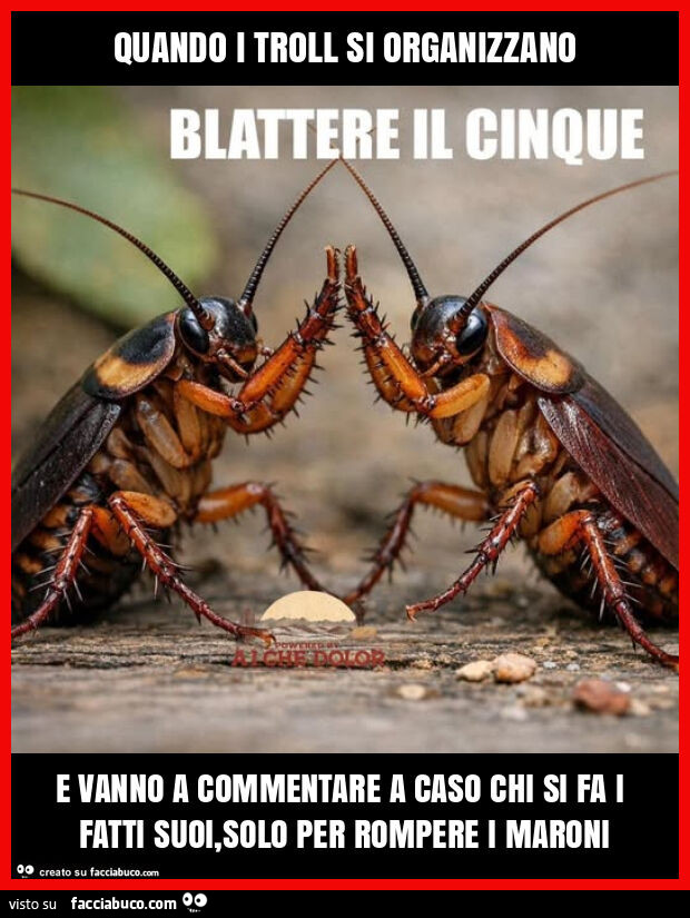 Quando i troll si organizzano e vanno a commentare a caso chi si fa i fatti suoi, solo per rompere i maroni