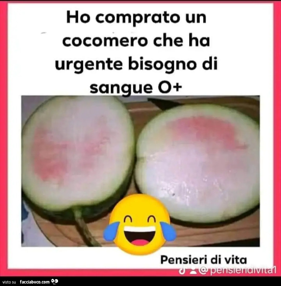 Ho comprato un cocomero che ha urgente bisogno di sangue 0