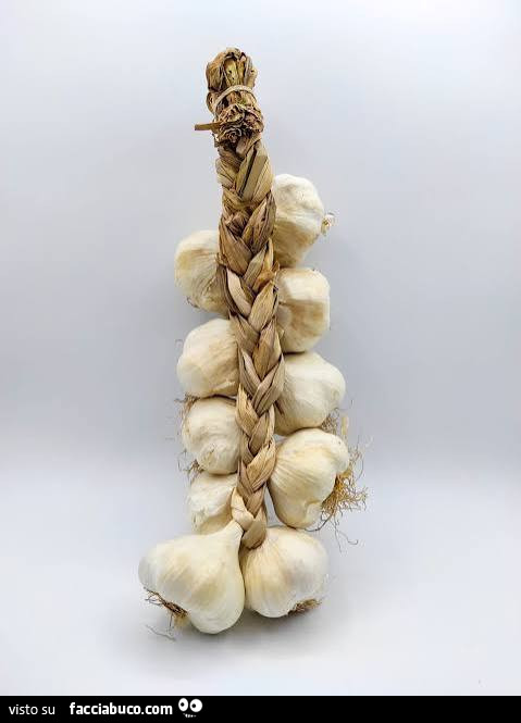Vaccata