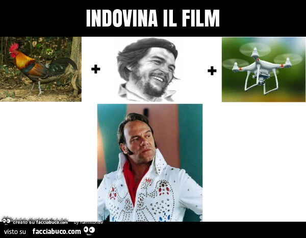 Indovina il film