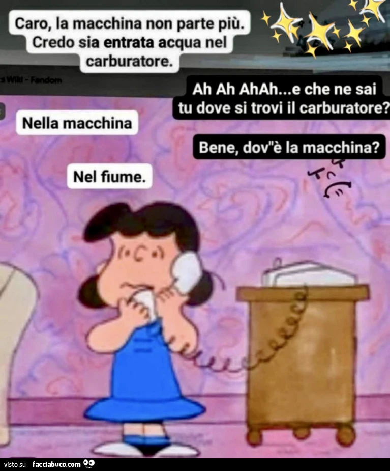 Vaccata