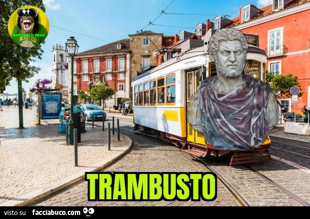 Trambusto