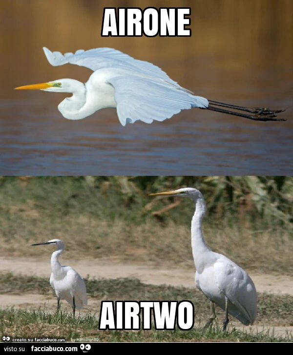 Airone airtwo