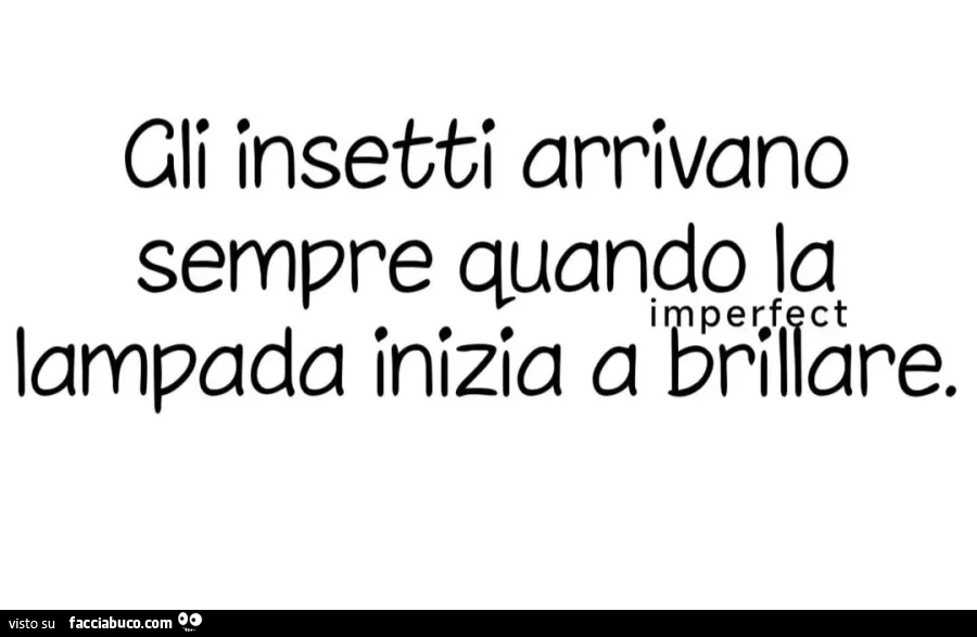 Gli insetti arrivano sempre quando la lampada inizia a brillare
