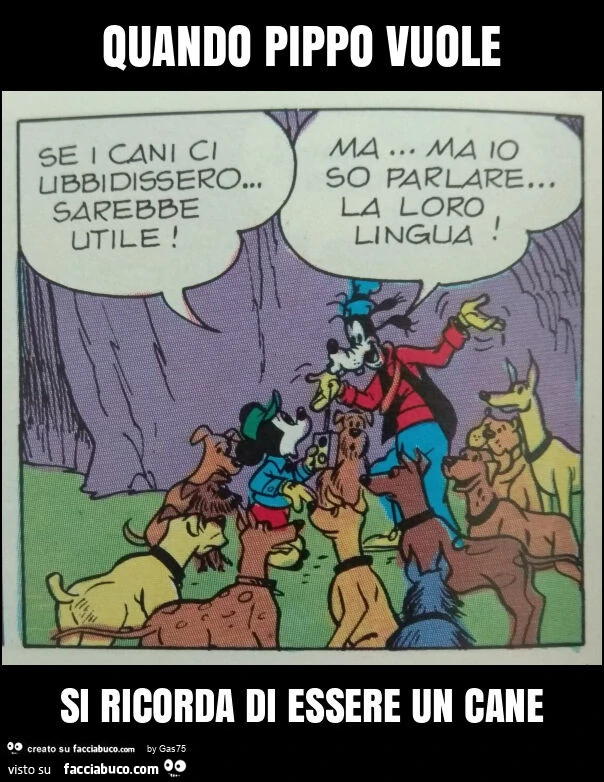 Quando pippo vuole si ricorda di essere un cane