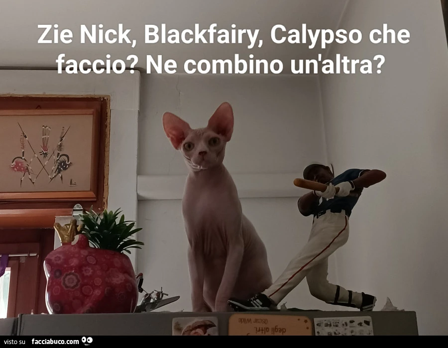Vaccata