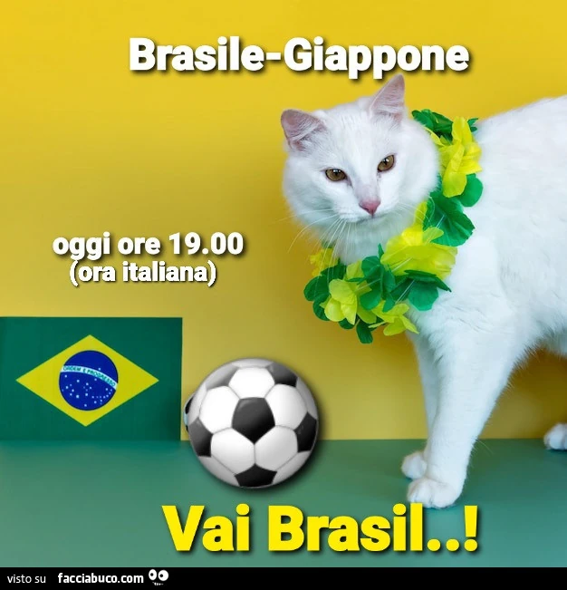 Brasile