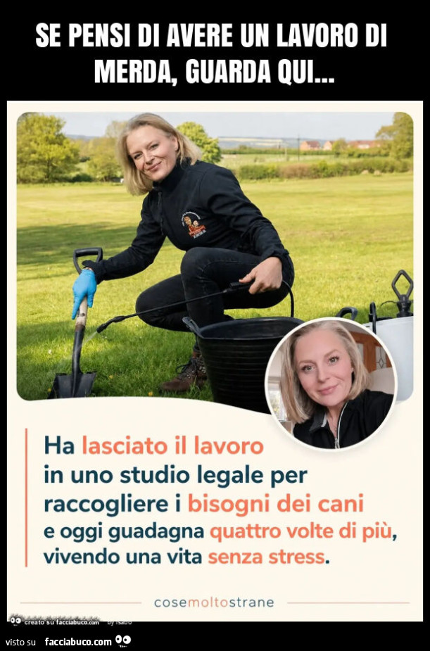 Se pensi di avere un lavoro di merda, guarda qui ha lasciato il lavoro in uno studio legale per raccogliere i bisogni dei cani e oggi guadagna quattro volte di più vivendo una vita senza stress