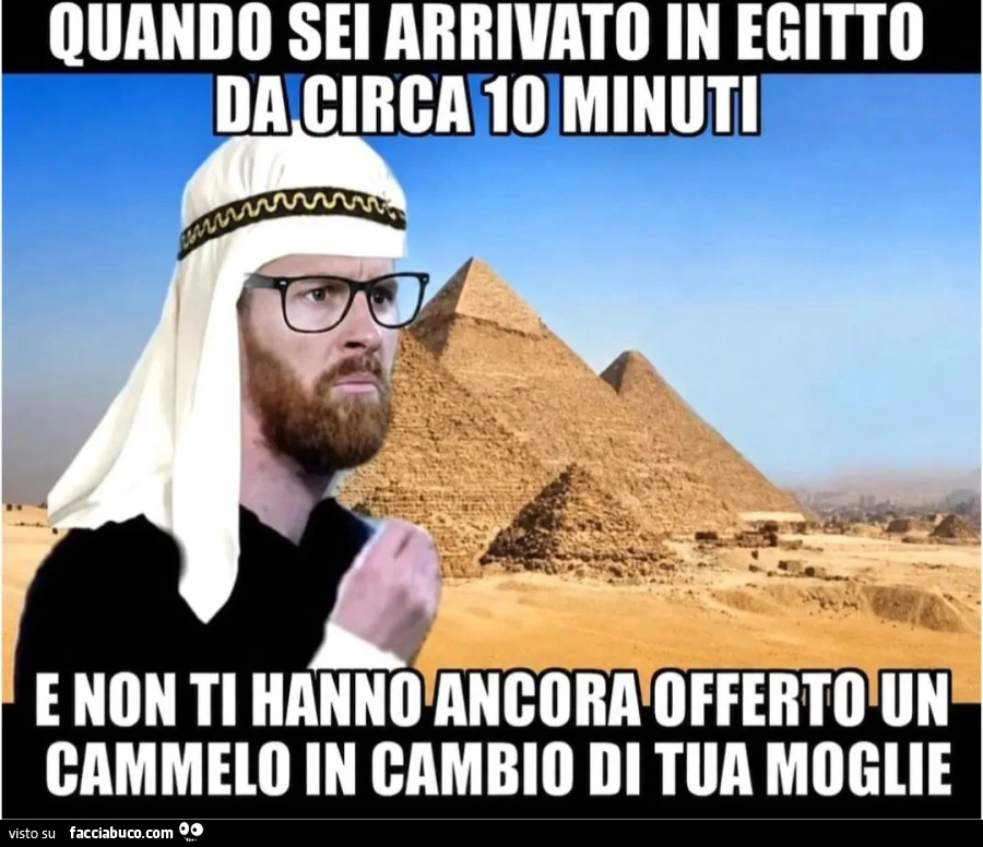 Moglie