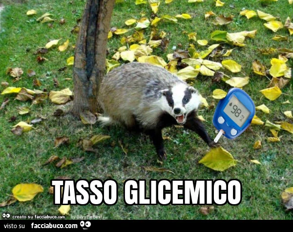 Tasso glicemico