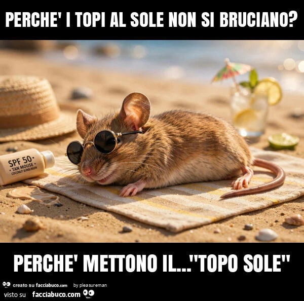 Perchè i topi al sole non si bruciano? Perchè mettono il&hellip; "topo sole"