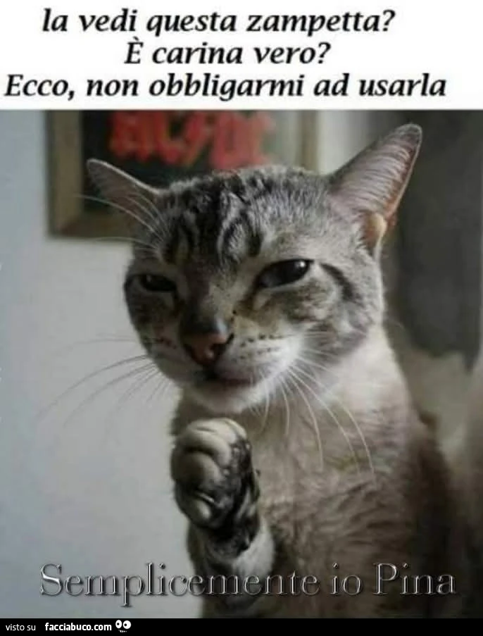 Vaccata