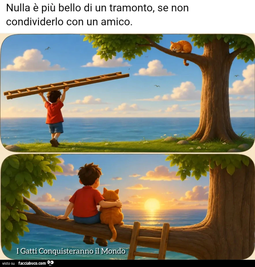 Condivisione