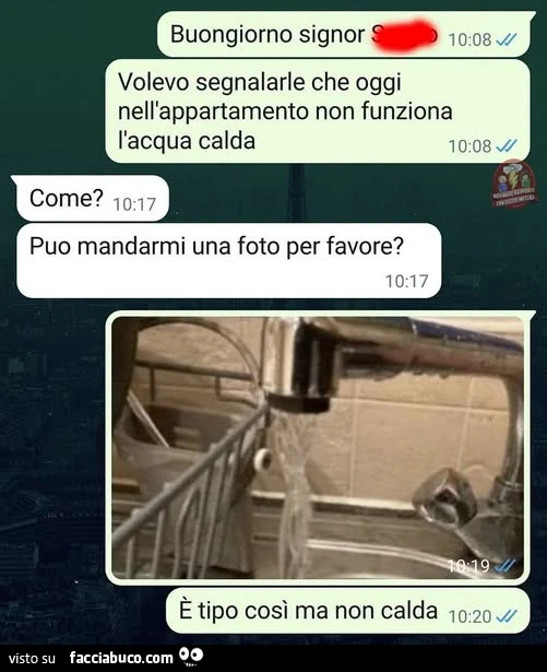 Vaccata