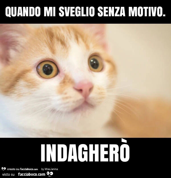 Quando mi sveglio senza motivo. Indagherò