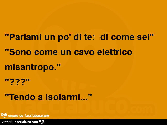 "parlami un po' di te:   di come sei" "sono come un cavo elettrico misantropo. " "? " "Tendo a isolarmi&hellip; "