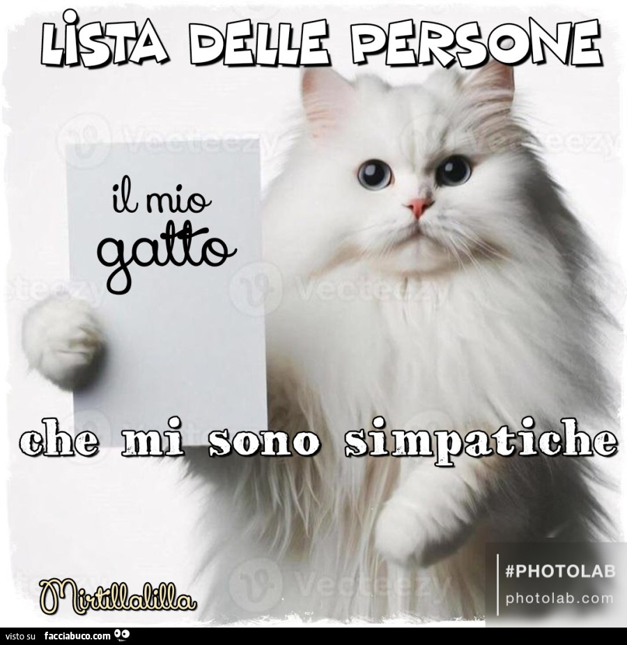 Il mio gatto