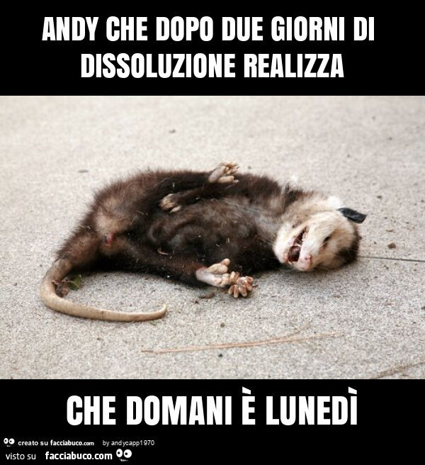 Andy che dopo due giorni di dissoluzione realizza che domani è lunedì