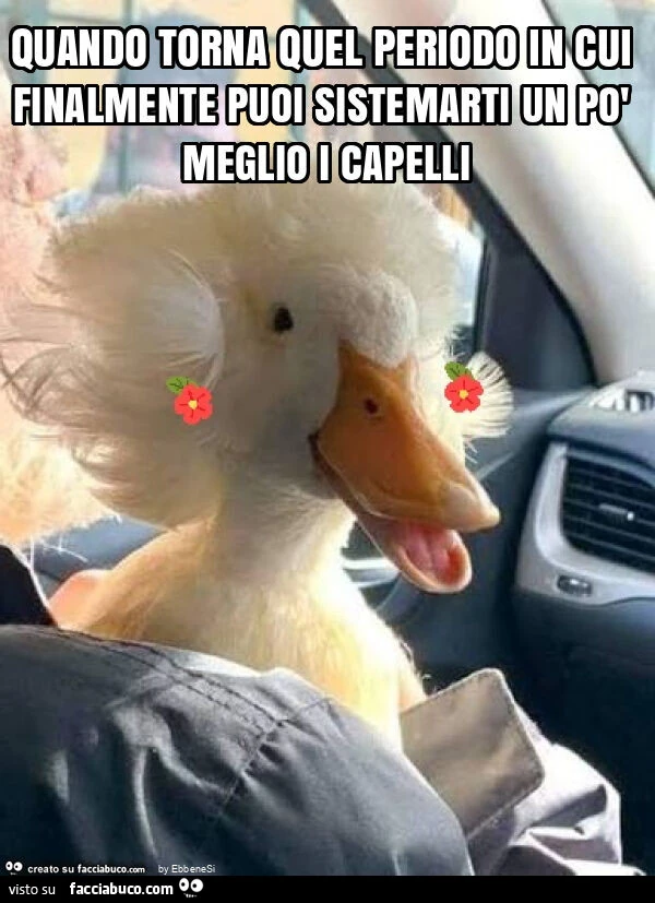 Quando torna quel periodo in cui finalmente puoi sistemarti un po' meglio i capelli