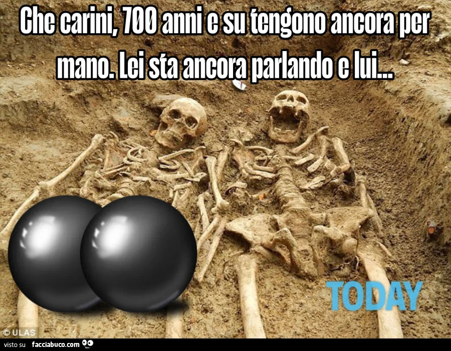 Vaccata