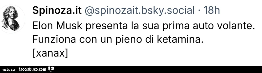 Elon musk presenta la sua prima auto volante. Funziona con un pieno di ketamina