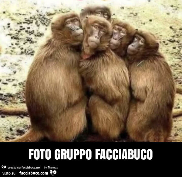 Foto gruppo facciabuco